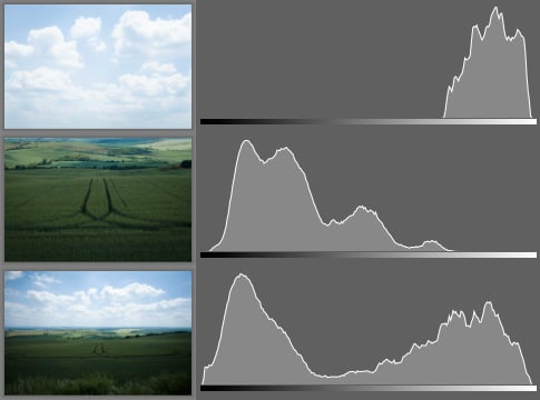 Three histograms corresponding to the individual photos on the left.