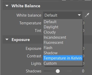 Zoner Photo Studio’s Develop section also lets you set white balance using the same standard presets as are used in cameras. 