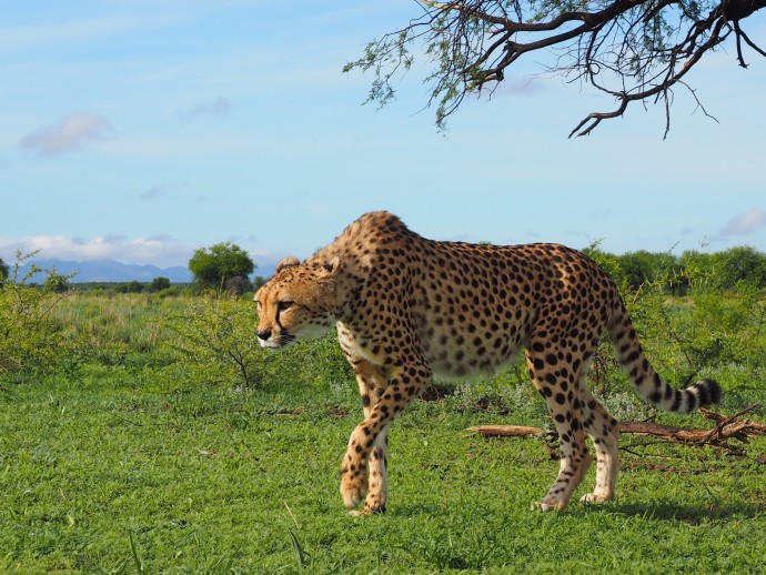 Na'an Ku se Wildlife Sanctuary 25 Dec 13