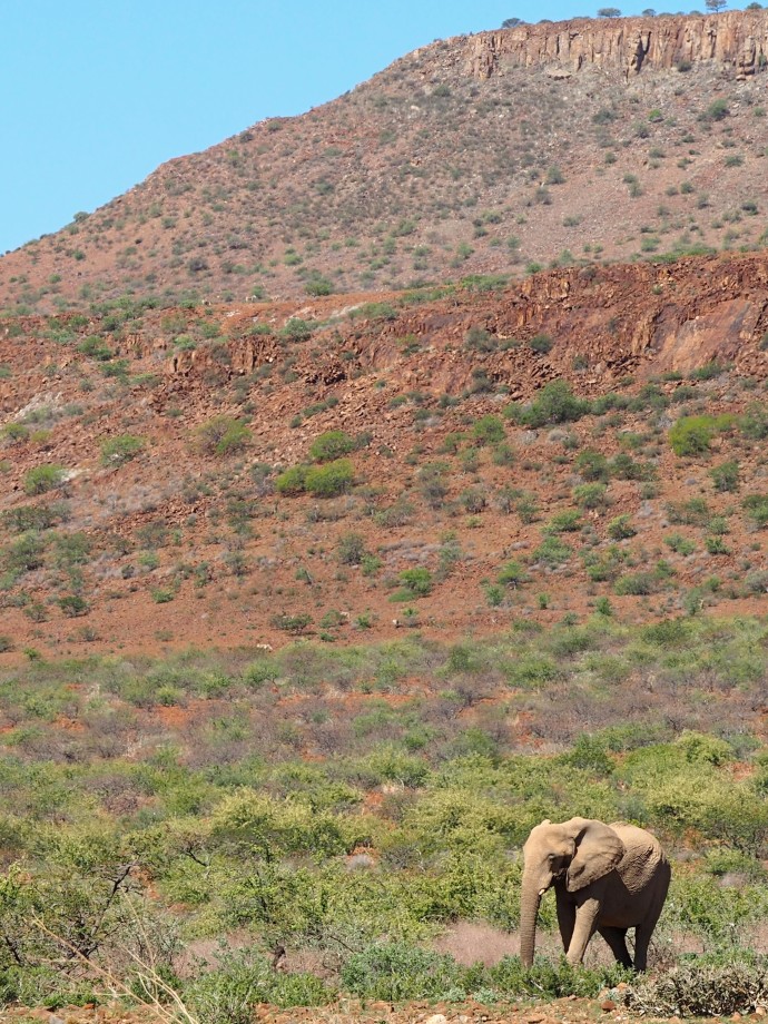 Outback road, Namibia Dec 2013