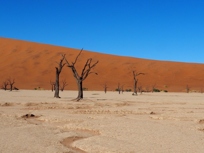 Sossusvlei, Namibia Dec 2013