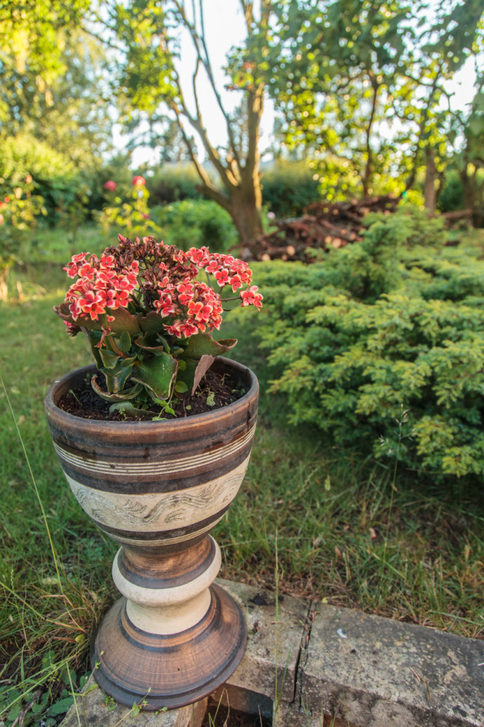 A more creative composition for capturing the garden. By shooting closer to the flowerpot, you emphasize it, so that it covers a much larger part of the picture, becoming its subject. Due to the short focal length used, the picture still also has enough space for a large part of the garden, which supplements the subject. The picture gives the viewer a clear idea of the environment, and thanks to the small f-number used, it’s also blurry enough to keep it from clashing with the main subject. Canon EOS 5D MkII, EF 24-105/4.0, 1/80 s, f/4, ISO 400, focus 24 mm 