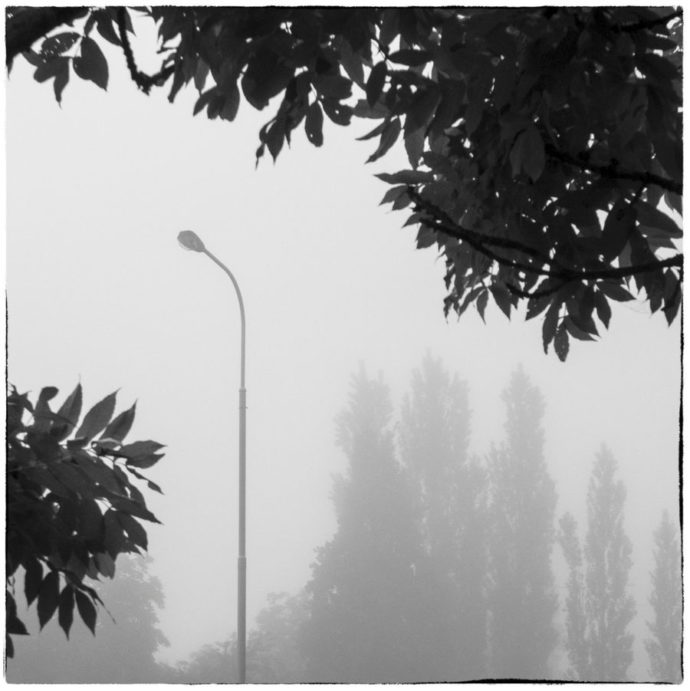 A minimalist photo that takes advantage of some impressive morning mist. The mist really accentuates the photo’s depth. The tree branches serve as a foreground object and form a great frame for the photo. Panasonic Lumix DMC-LX 3, 1/640 s, f/3.5, ISO 80, focus 12.8 mm (60 mm equiv.) 