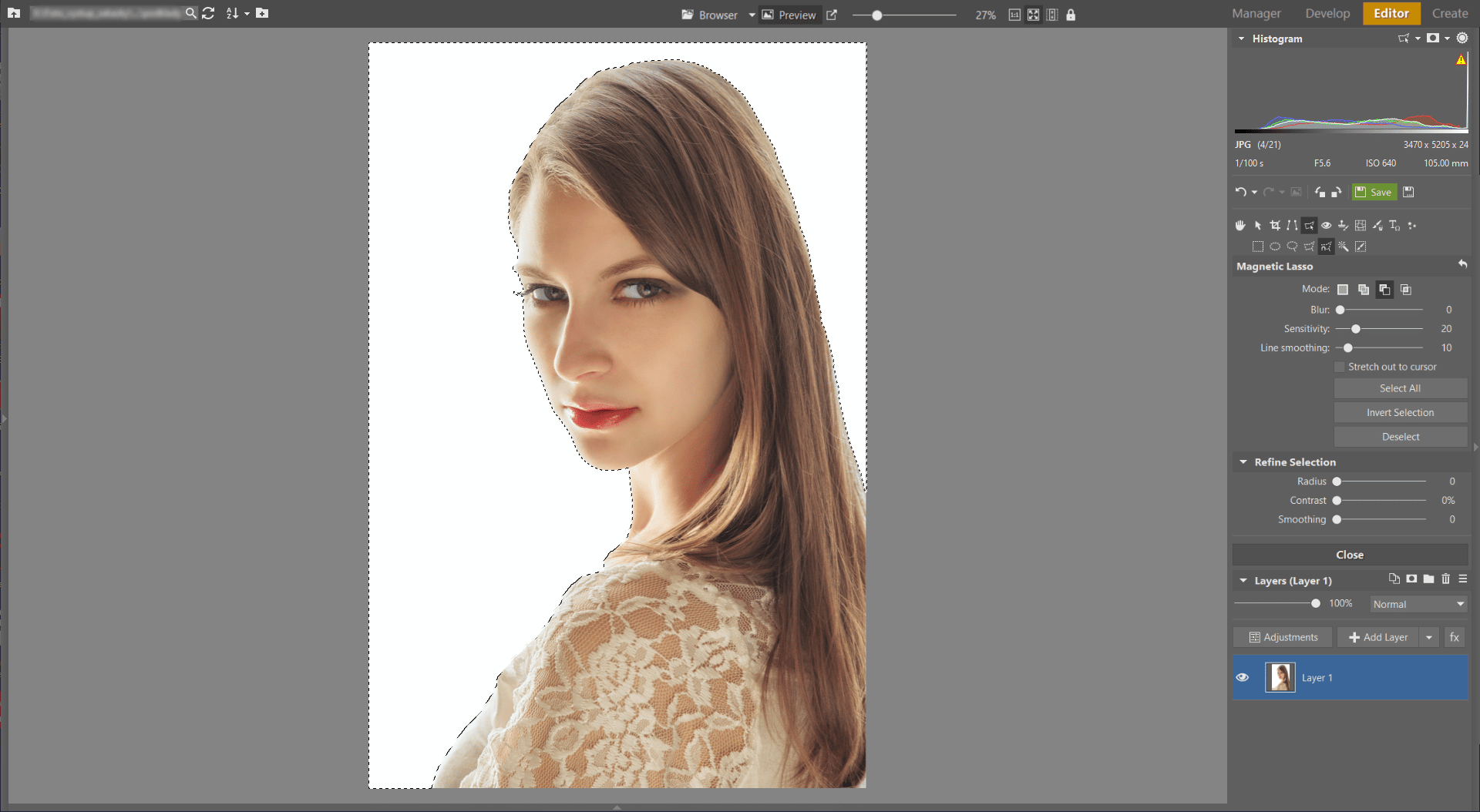 Learn to Create a Double Exposure Effect in Zoner Studio - removed background
