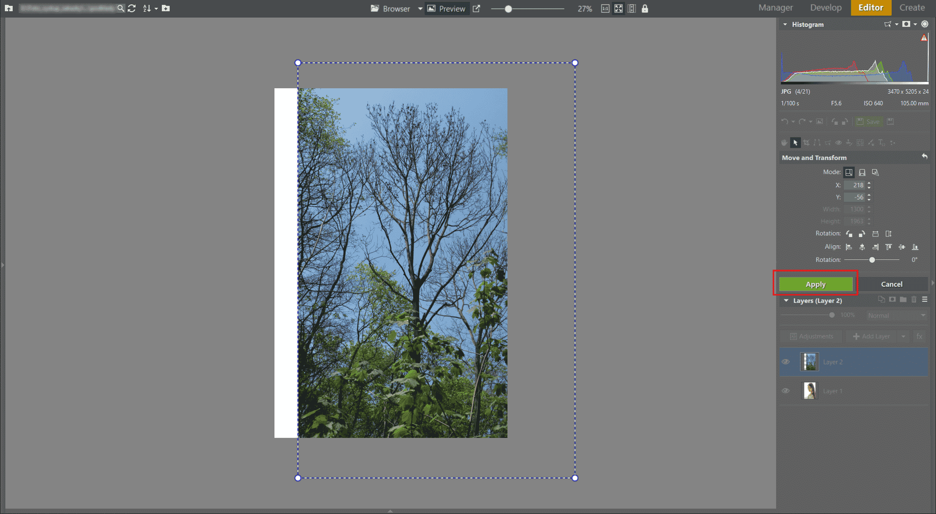 Learn to Create a Double Exposure Effect in Zoner Studio - placing 2nd layer