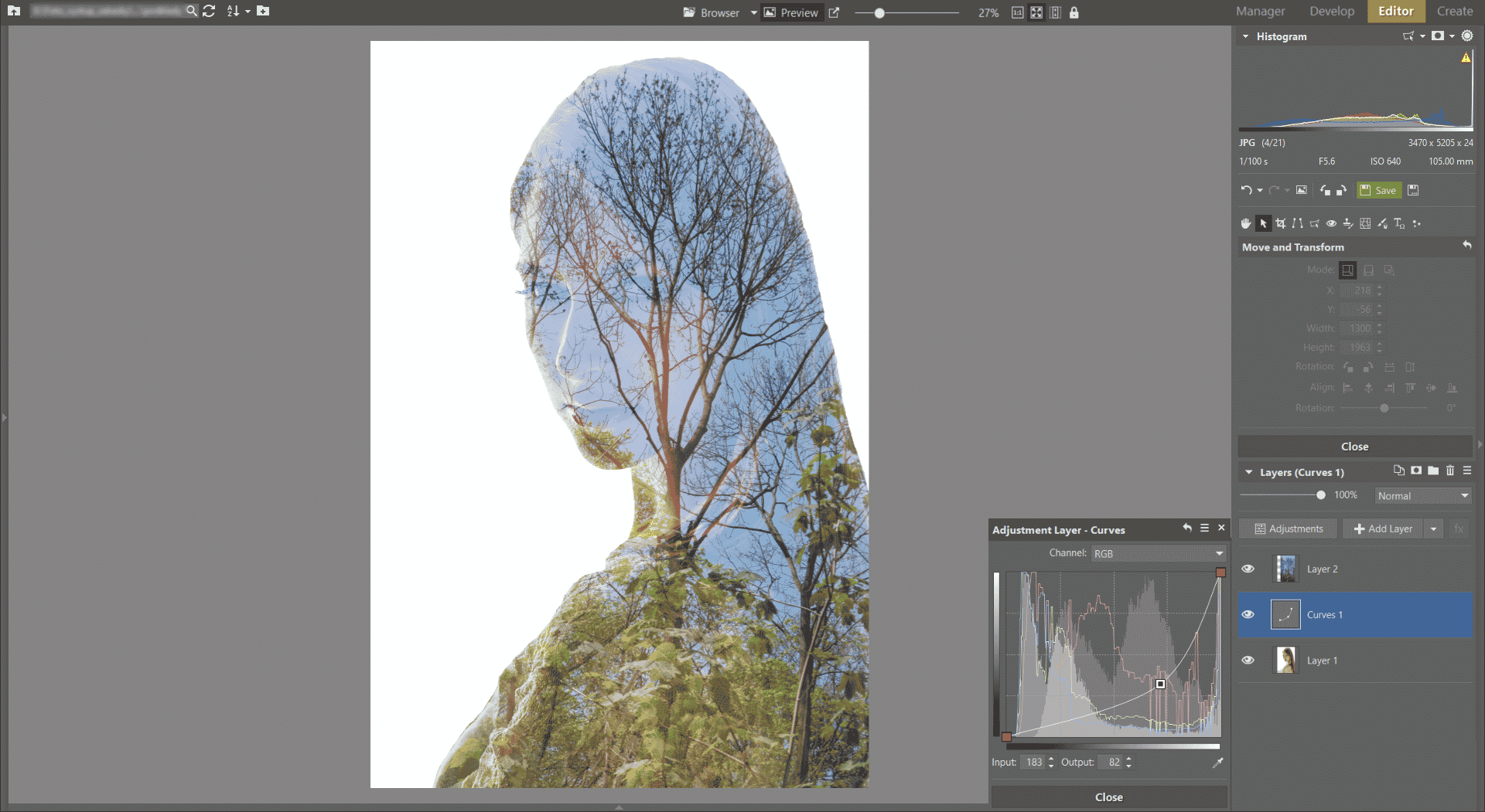 Learn to Create a Double Exposure Effect in Zoner Studio - adding curves