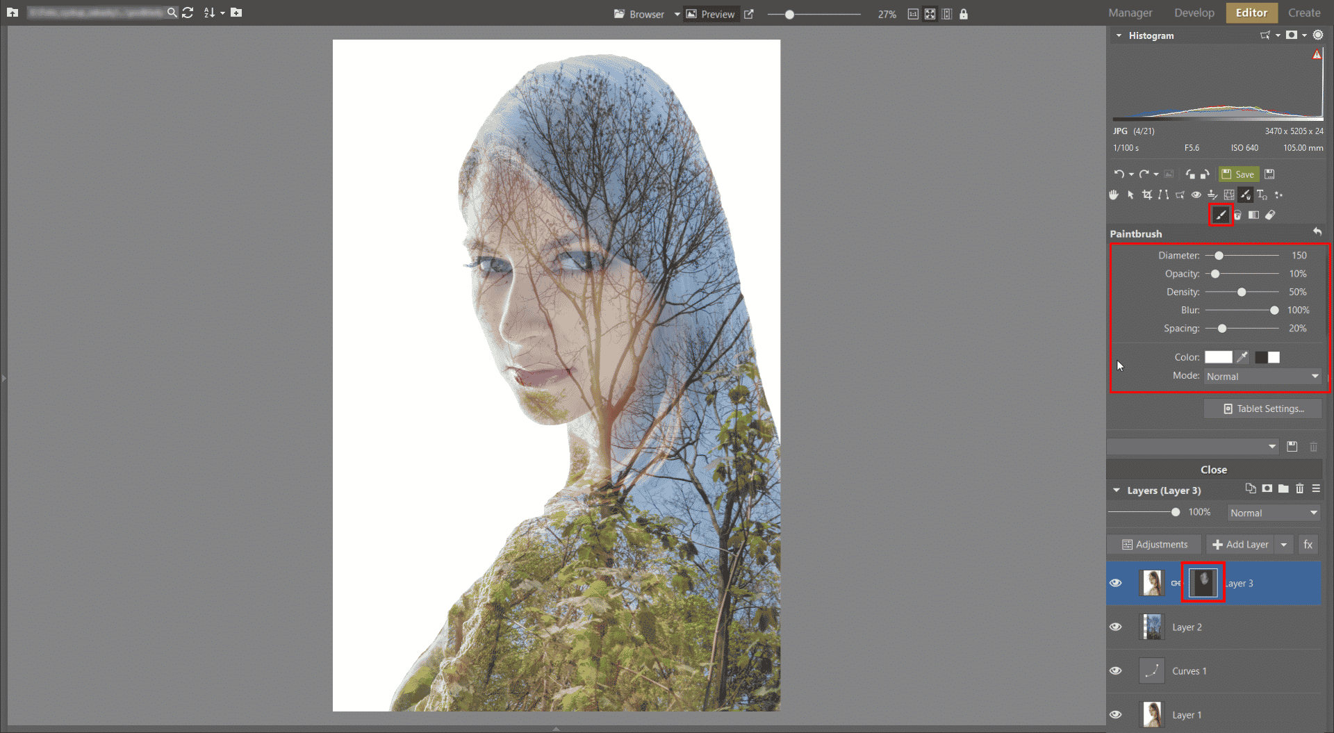Learn to Create a Double Exposure Effect in Zoner Studio - face reconstruction