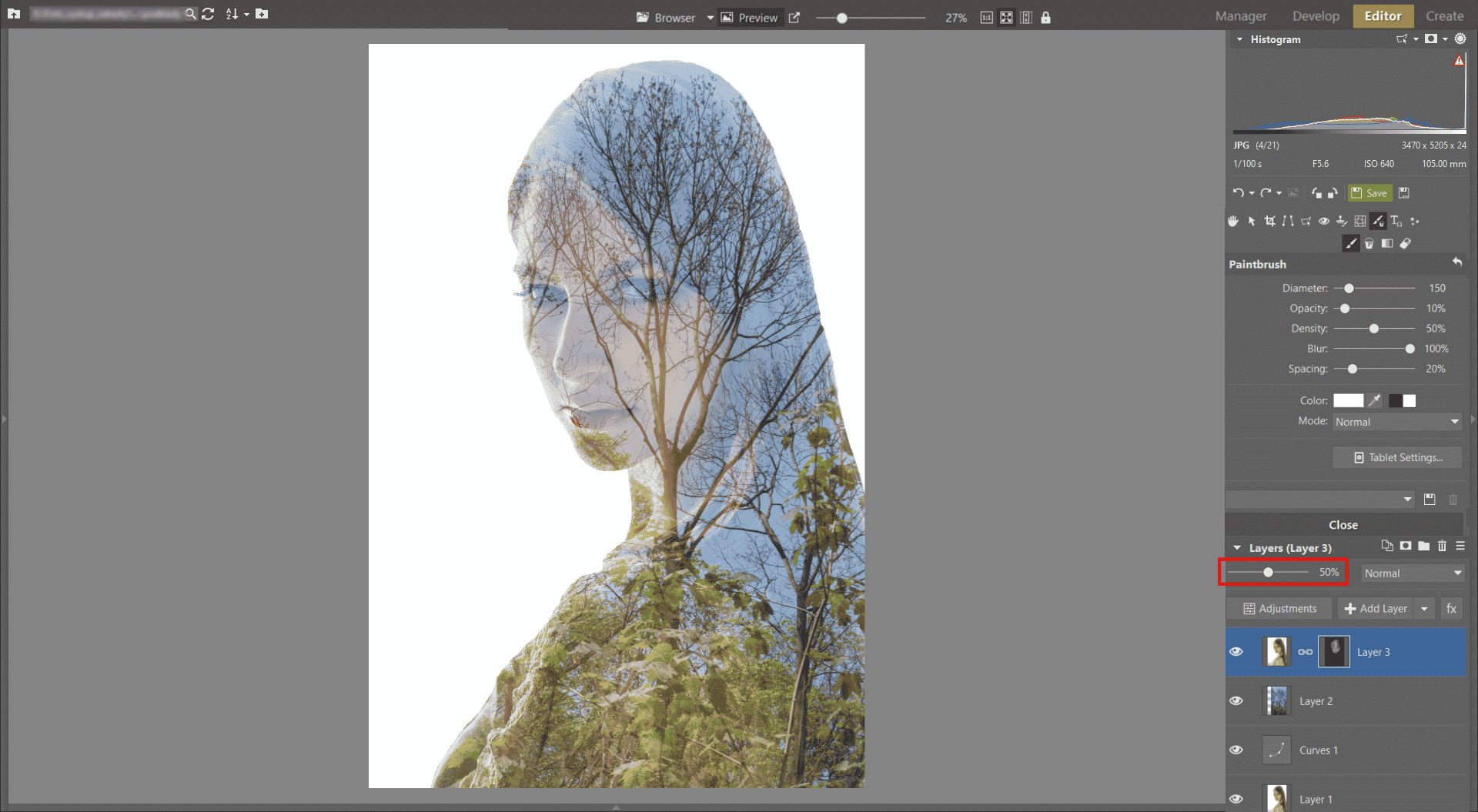 Learn to Create a Double Exposure Effect in ZPS - reducing opacity