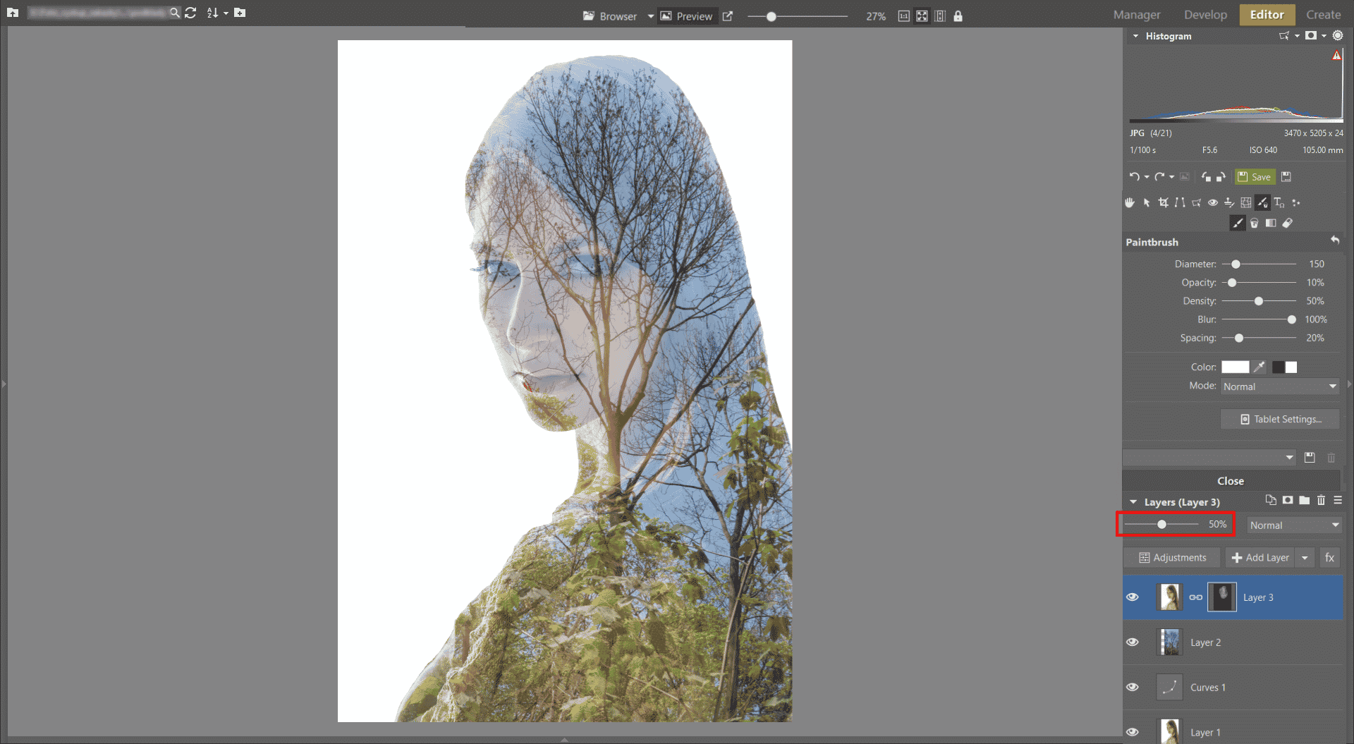 Learn to Create a Double Exposure Effect in Zoner Studio - reducing opacity