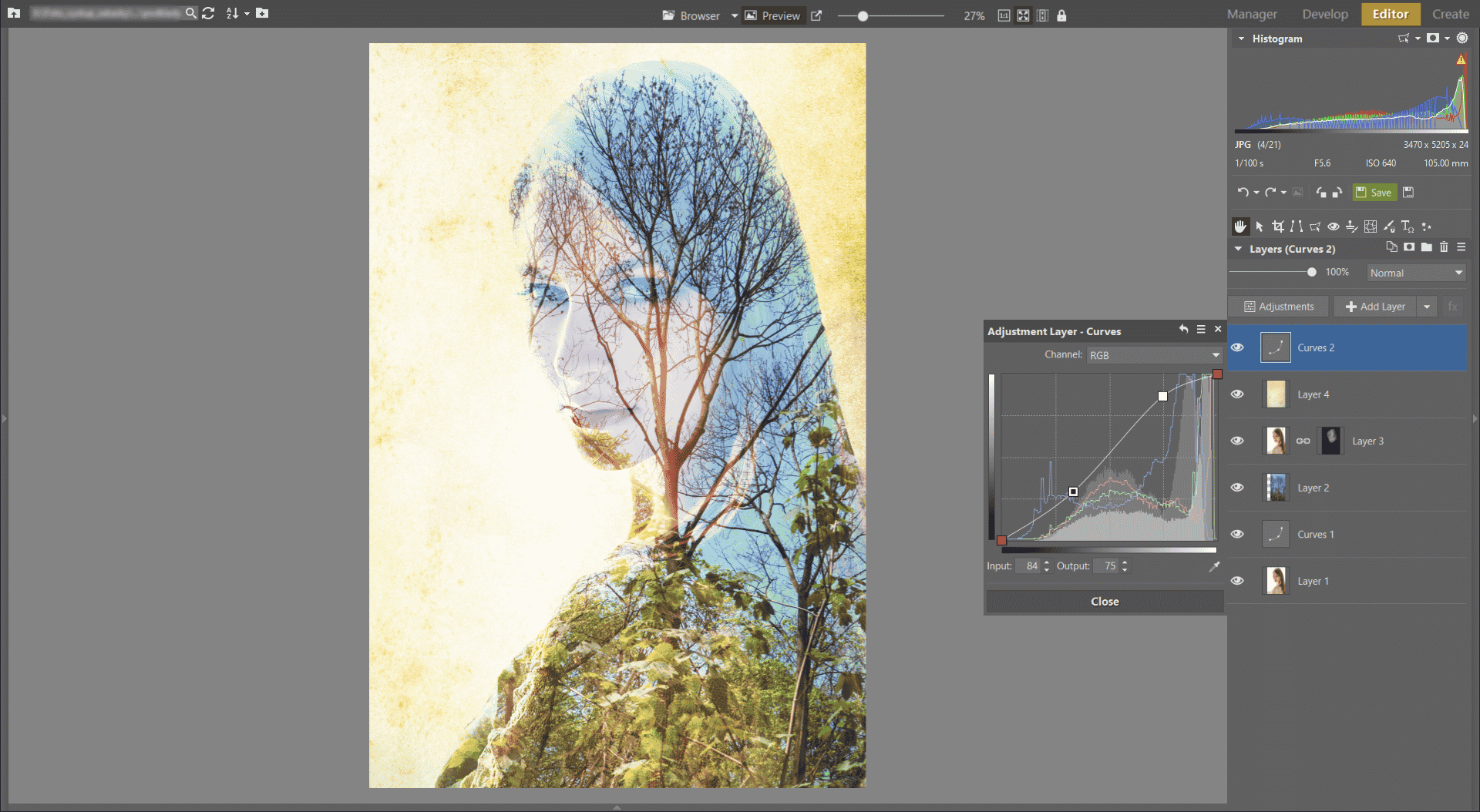 Learn to Create a Double Exposure Effect in ZPS - more curves