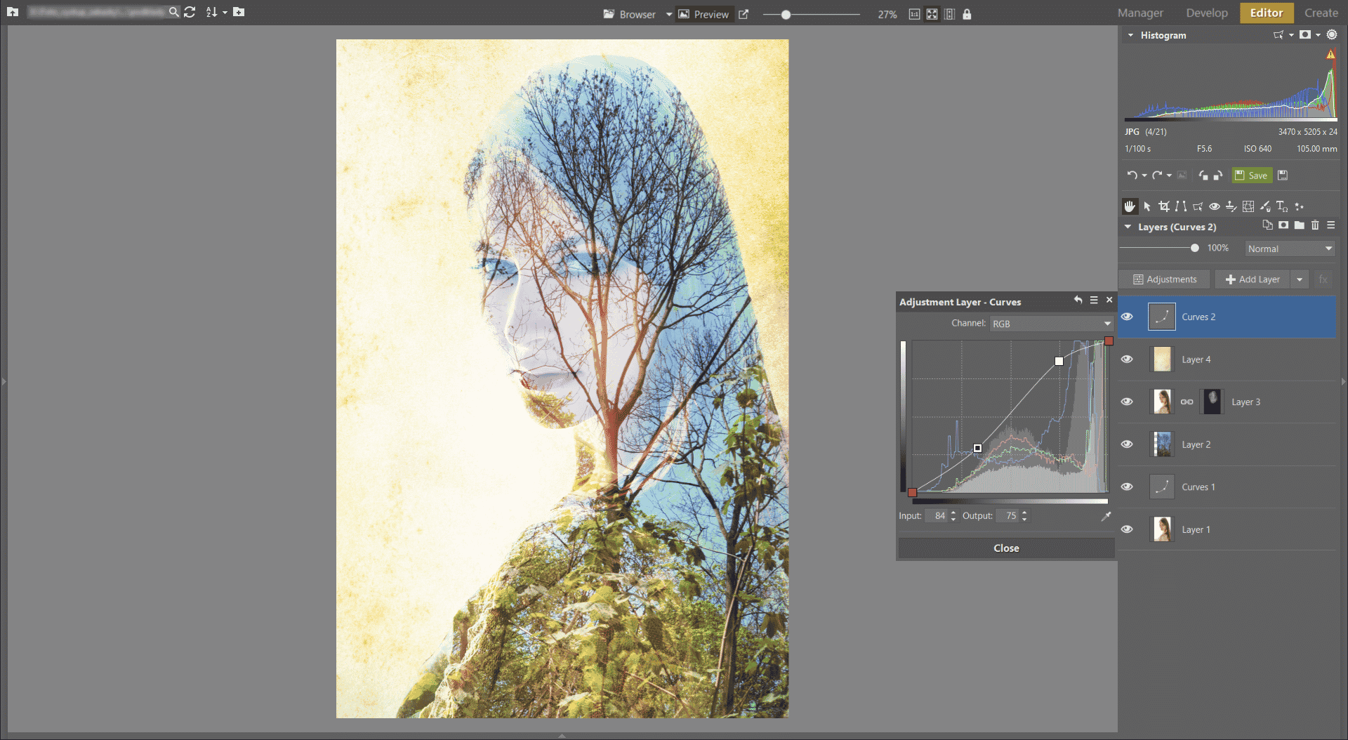 Learn to Create a Double Exposure Effect in Zoner Studio - more curves