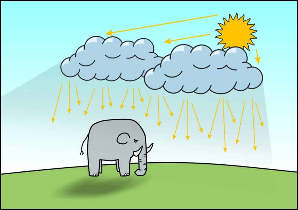 Adapt Your Photography to Natural Light | Learn Photography by Zoner Studio