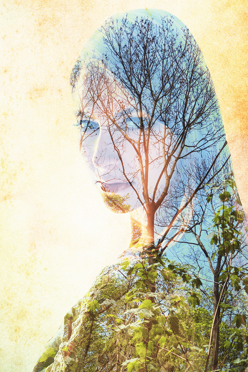 Learn to Create a Double Exposure Effect in ZPS - final result