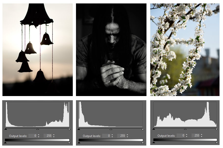 There’s no such thing as The Ideal Histogram. It all depends on a photo’s type and its ratio of dark and light tones.