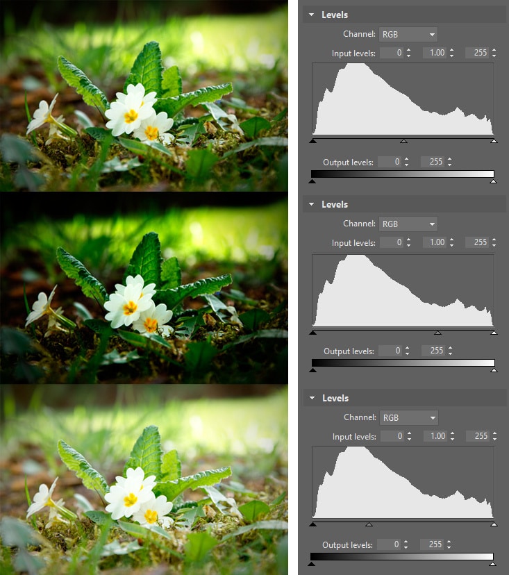 Nikon D5500, Nikkor 18-105/3.5-5.6G Ed Vr, 1/60 s, f/9.0, ISO 100, focal length 105 mm The midtones slider helps you fix a photo’s overall brightness without changing its black and white points.