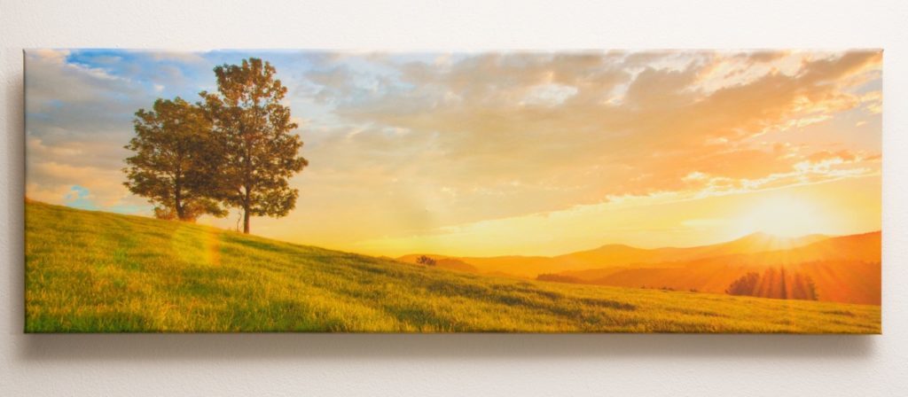 You can have your canvas prints produced in any of three formats. Both portrait and landscape orientation are available. Their prices start from $26.99.