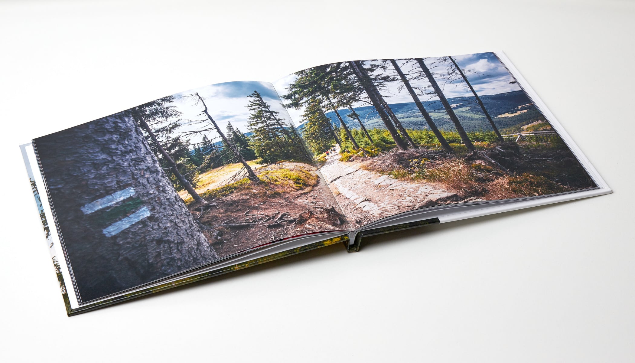 outdoor photographer making a photo book