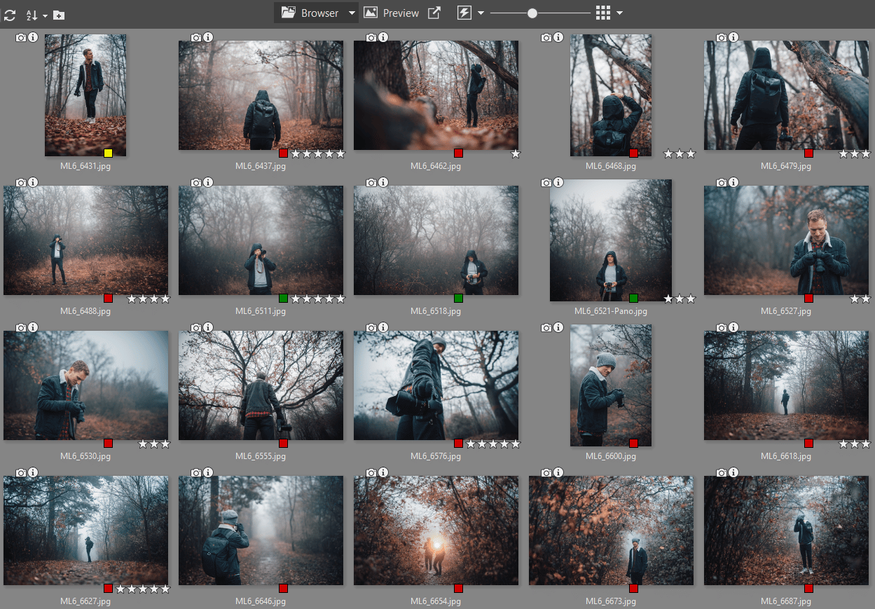 Spring Cleaning for Your Photography Folder: Organize Your Photos Using Labels and Ratings