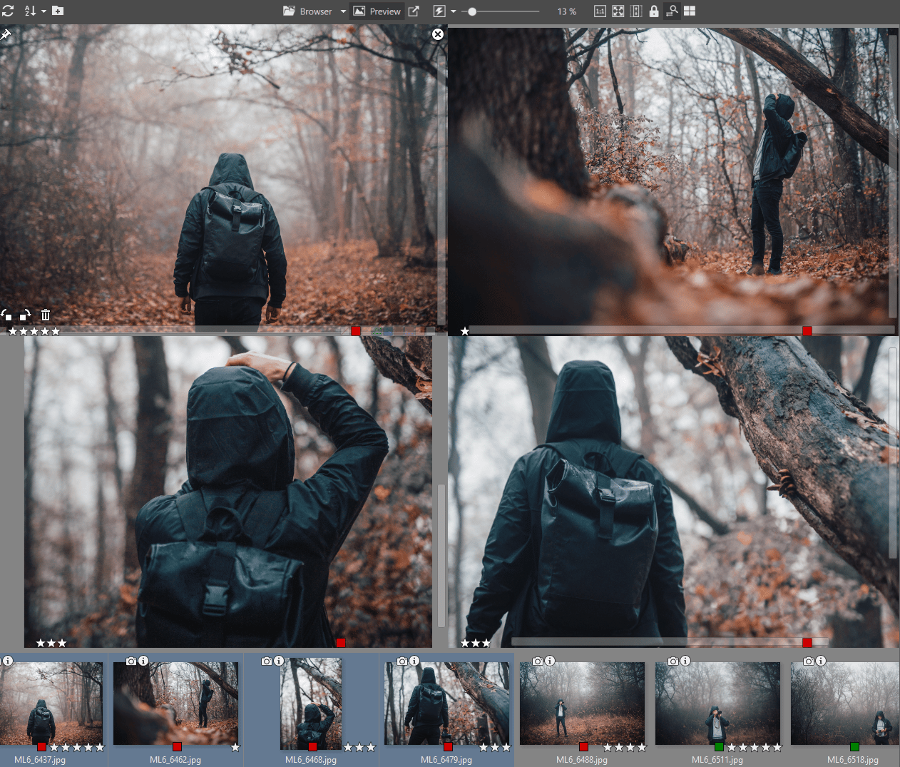 Spring Cleaning for Your Photography Folder: Organize Your Photos Using Labels and Ratings