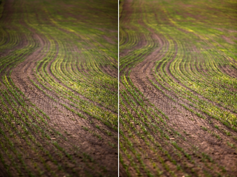 Left: the original photo with strong vignetting. Right: after editing.
