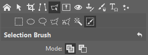 The Selection Brush, along with icons for adding to or removing from the selection.