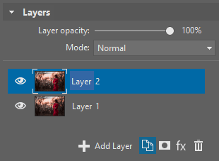 I’ve duplicated the layer using the button highlighted at the bottom. The new layer is selected automatically, and so your next edits will affect it.