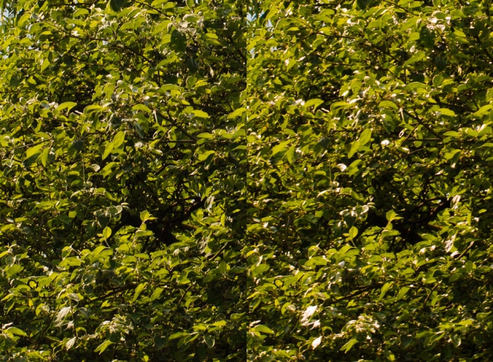 Comparison of shooting with a polarizing filter (left) and without it (right).