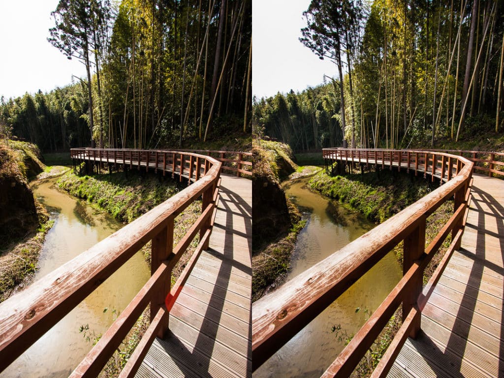 The original forest, and the same forest after brightening and darkening. Canon 40D, Canon EF-S 10-22/2.5-4.5 IS, 1/100 s, f/8, ISO 100, focal length 10 mm