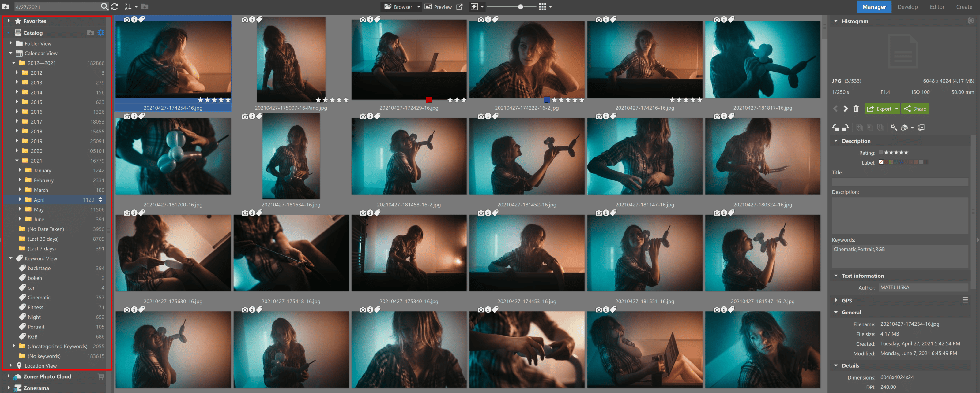 Using the Catalog in Zoner Photo Studio X