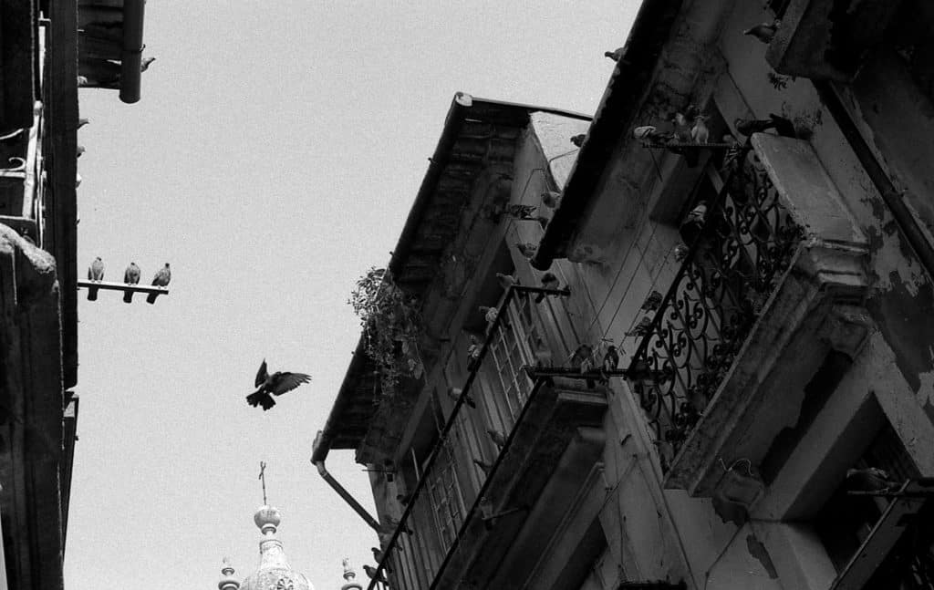 In this spot the houses were heavy with pigeons, and so it was just a matter of time before at least some of them would take flight. In the end I managed to catch the right moment. Olympus OM-1, F.Zuiko Auto-S 50 mm f/1.8, Ilford PAN 400