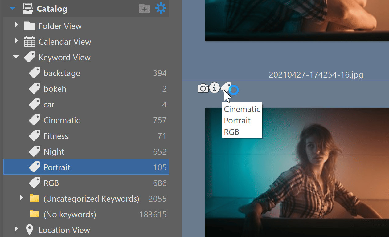 Using the Catalog in Zoner Studio