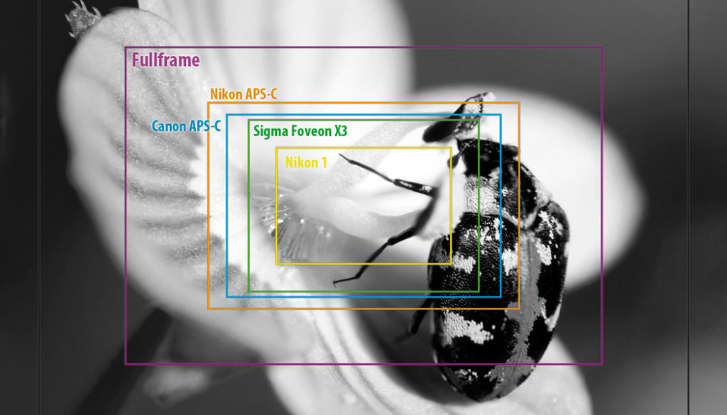 What Crop Factor Is And What It Tells You Learn Photography By Zoner Photo Studio