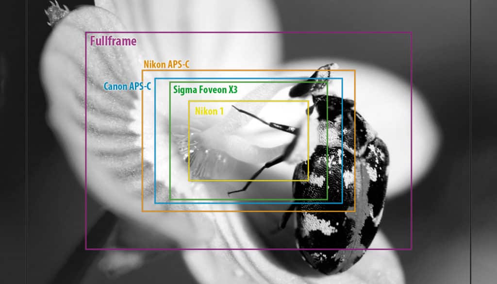 Sale Camera Crop Factor In Stock