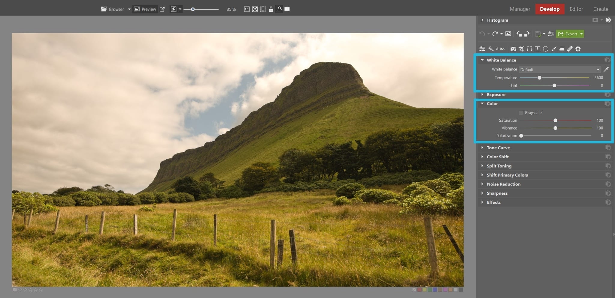 White Balance: Why It Matters, What to Do