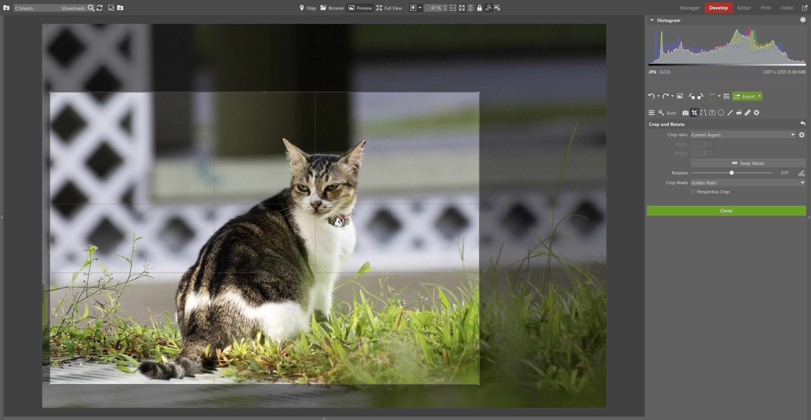 crop button develop