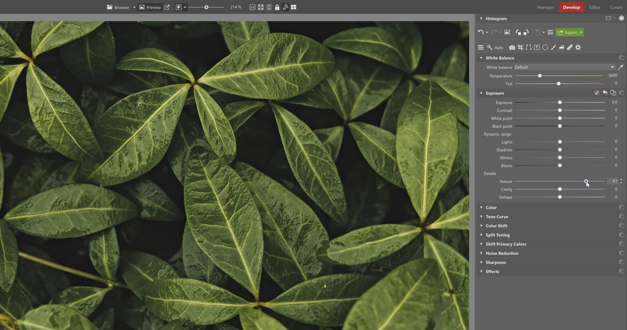 Make Your Photos More Dynamic with Clarity and Texture
