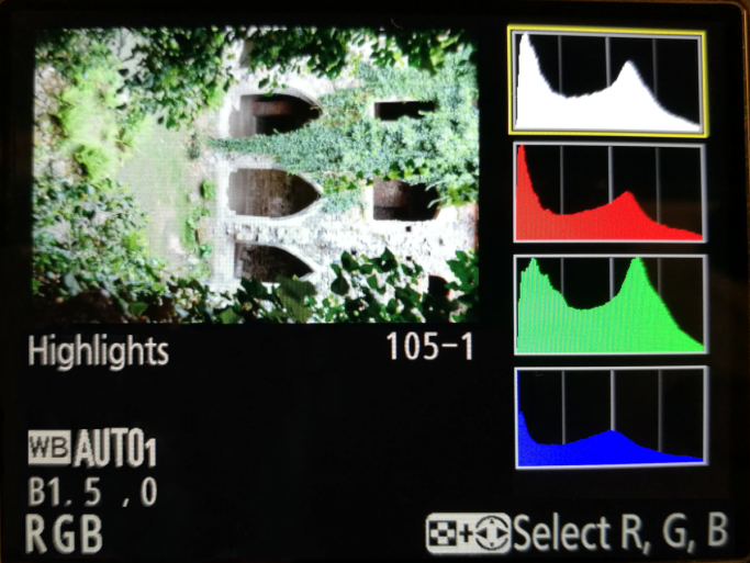 Showing the RGB histogram along with the brightness histogram and the highest brightnesses as well—one kind of histogram display offered on Nikon cameras. Here the green channel dominates the most, due to the large amount of green in the picture. But none of the RGB channels are overexposed.