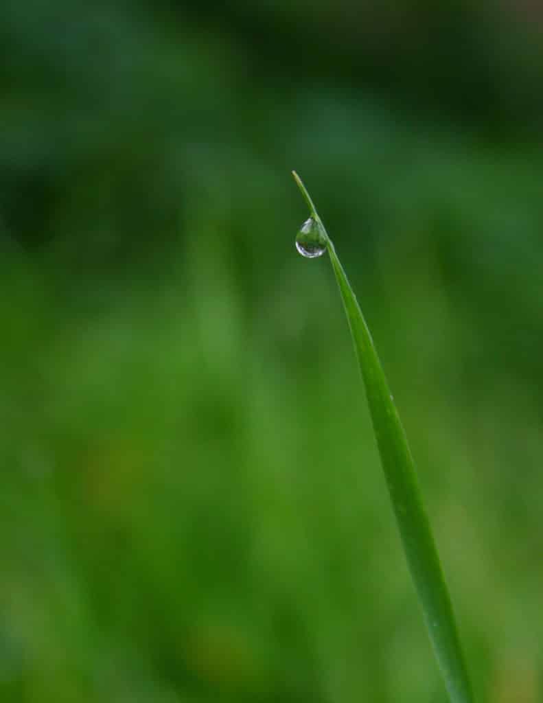 How To Photograph Water Drops Learn Photography By Zoner Photo Studio how-to-photograph-water-drops-learn-photography-by-zoner-photo-studio