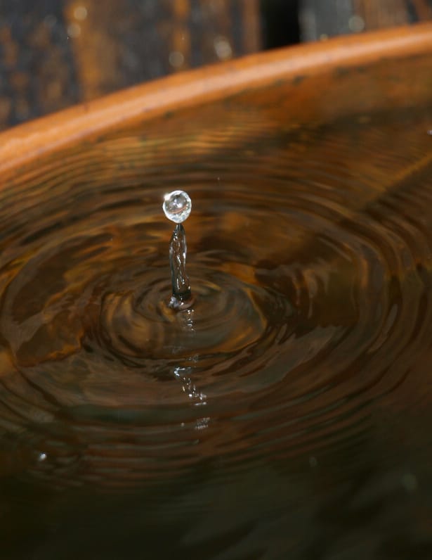 Capturing a drop of water landing on a surface is not as hard as it might at first seem. Olympus E-420, Zuiko 40-150 f/4-5.6, 1/180 s, f/5.6, ISO 400, 150mm