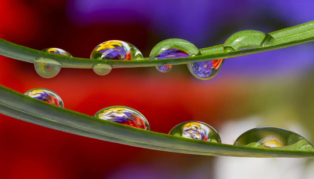 Capturing the World in a Water Drop