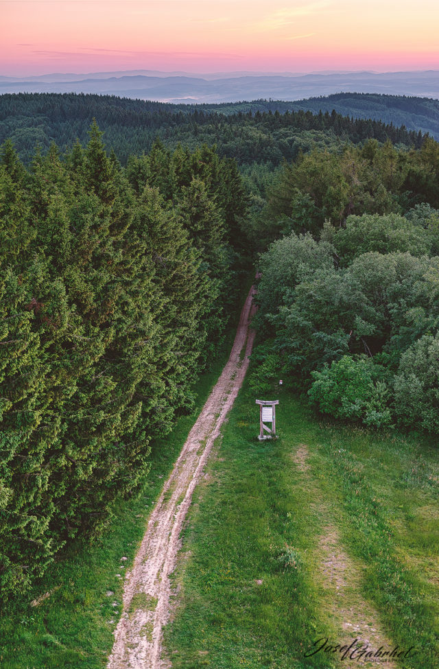 Forest route leading the viewer to the sunrise.