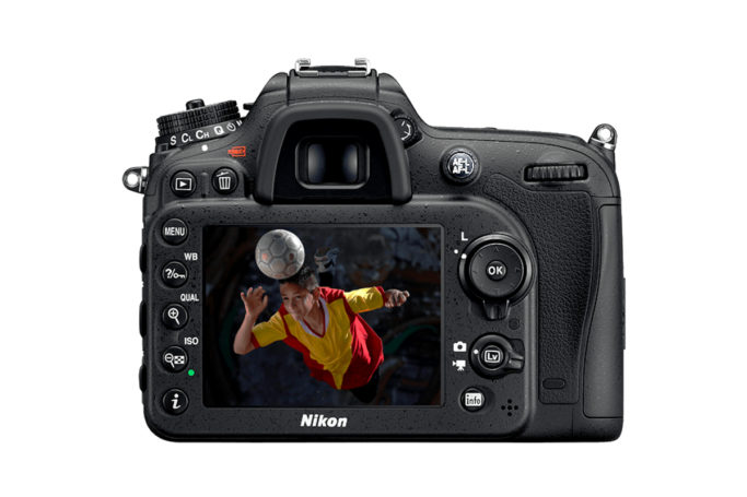 Macro photography: Focusing through the AE-L button on a Nikon camera.