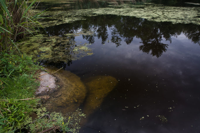 Taken with a polarizing filter.