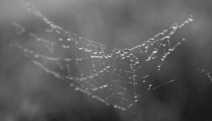 How to Photograph Water Drops