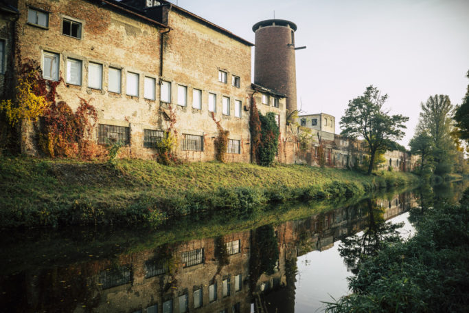 The autumn colors nicely supplement this industrial space’s old, chipped walls.