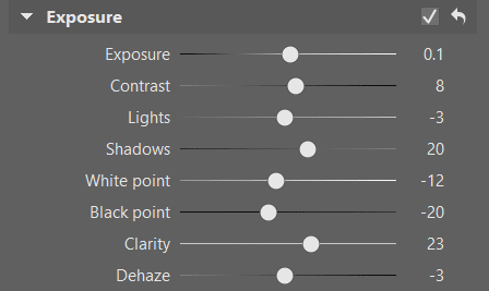 Your Step-By-Step Guide to Photographing and Editing Foggy Landscapes: exposure panel.