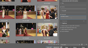 What’s the Best Way to Download Your Photos? By Importing Them in Zoner Photo Studio