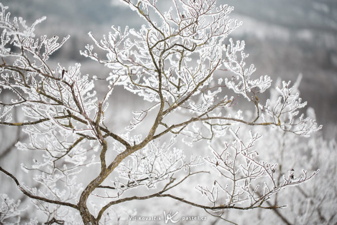 The Magical World of Glaze Ice: photo of a glaze on a darker background.