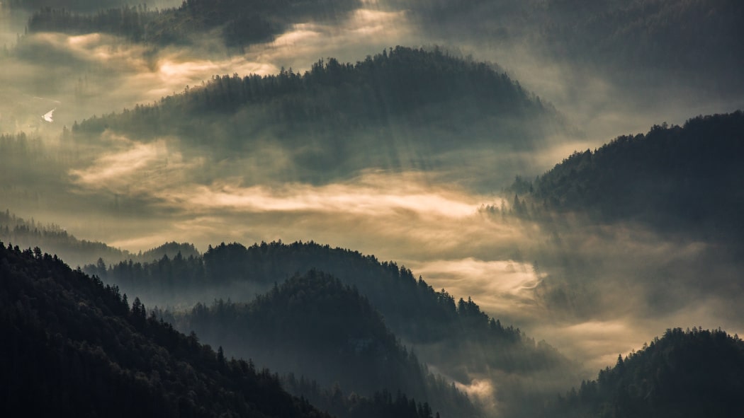 Brighten Up With Our 8 Tips for Mastering Cloudy Day Photography