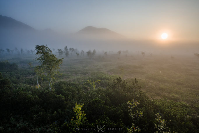 How to Photograph Fog: fog at 7 AM.